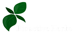 logo bioactiveherb